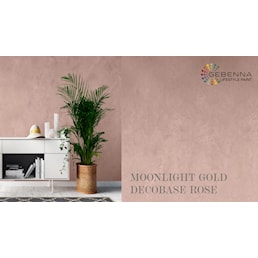 MOONLIGHT FARVEKORT ROSE NY.jpg